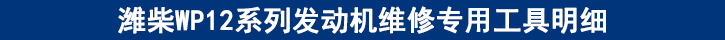 濰柴WP12系列發(fā)動機維修專用工具明細(xì).jpg