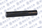 TZ100303 氣門(mén)導(dǎo)管沖棒.jpg